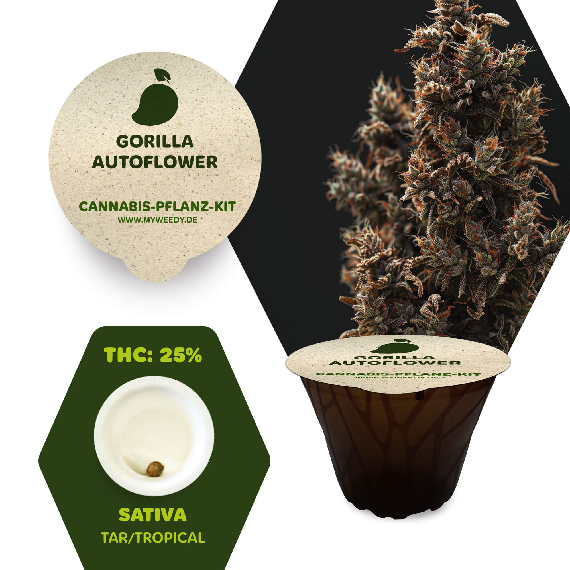 Gorilla - Autoflower - Cannabis-Pflanz-Kit