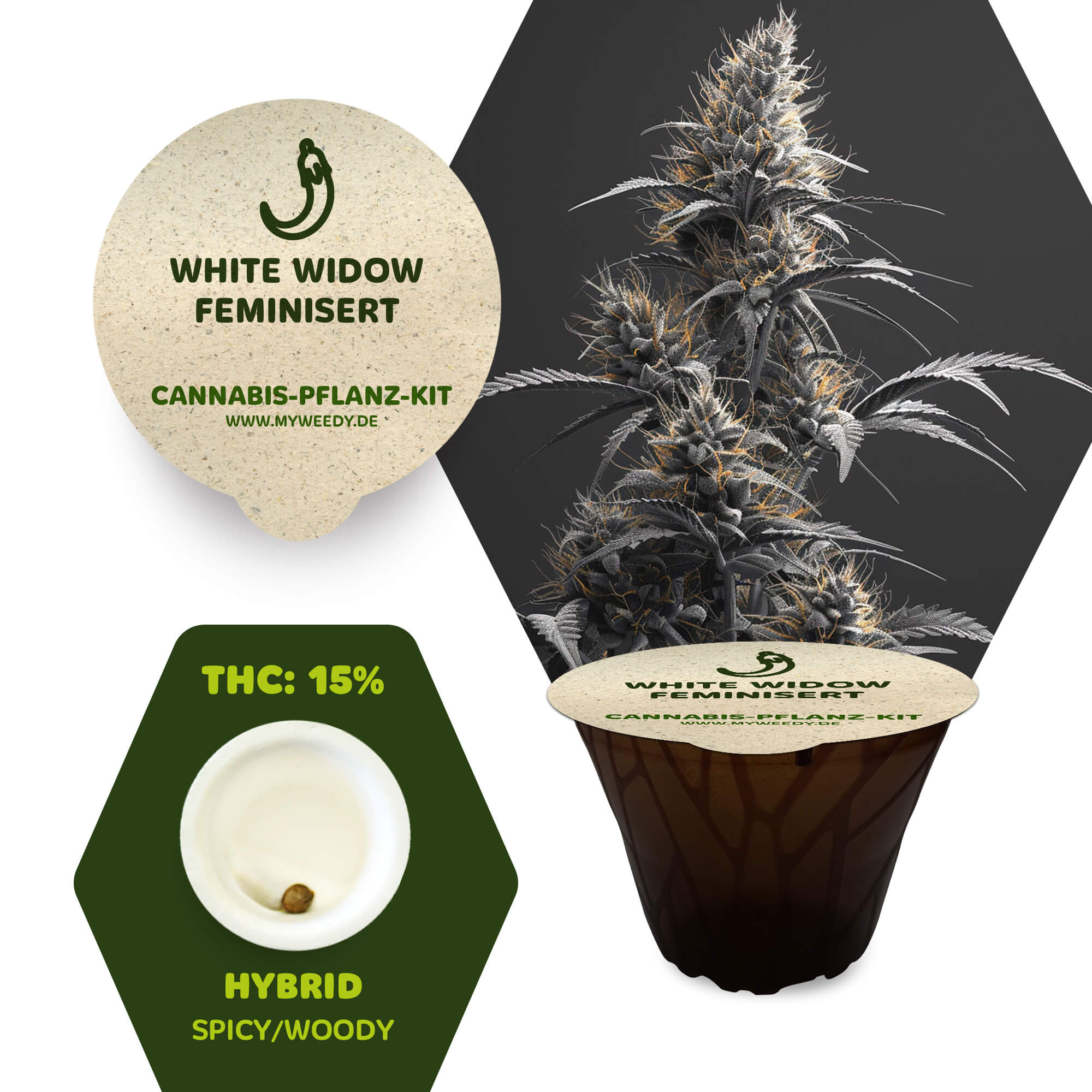 White Widow - Feminisiert - Cannabis-Pflanz-Kit