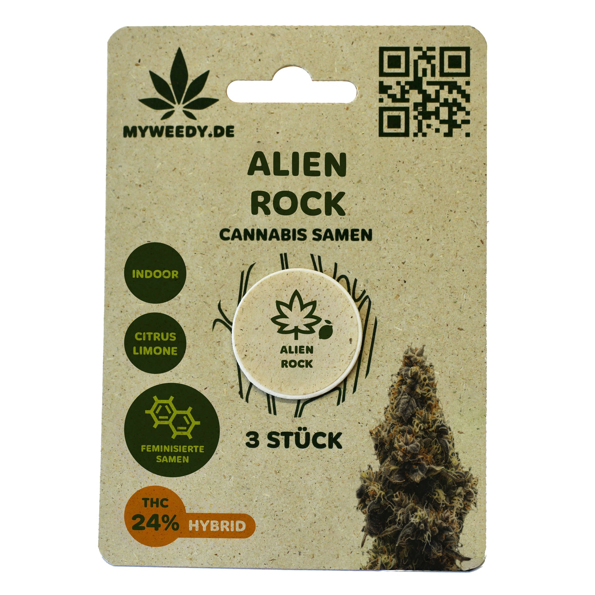 Alien Rock - Feminisiert