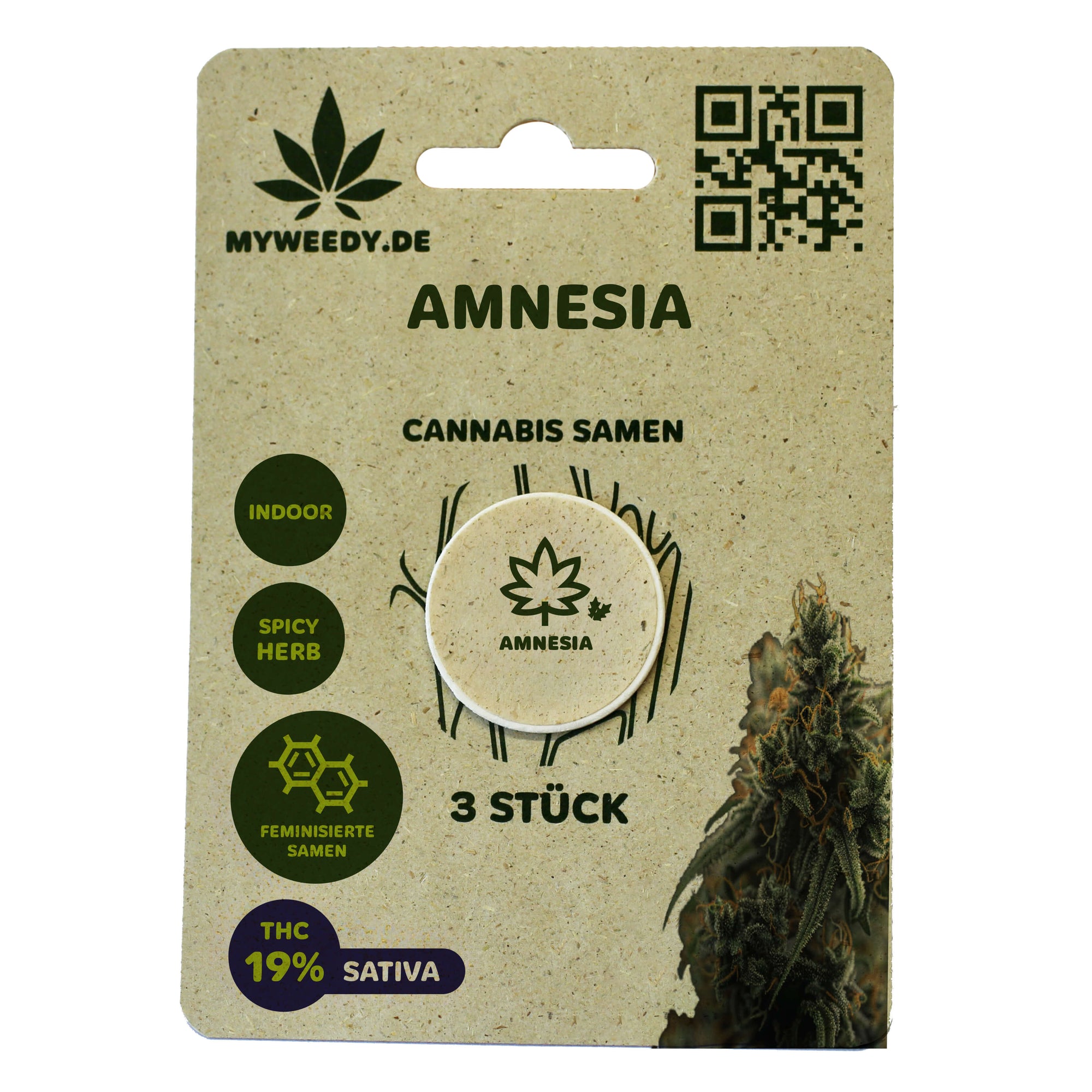 Amnesia - Feminisiert