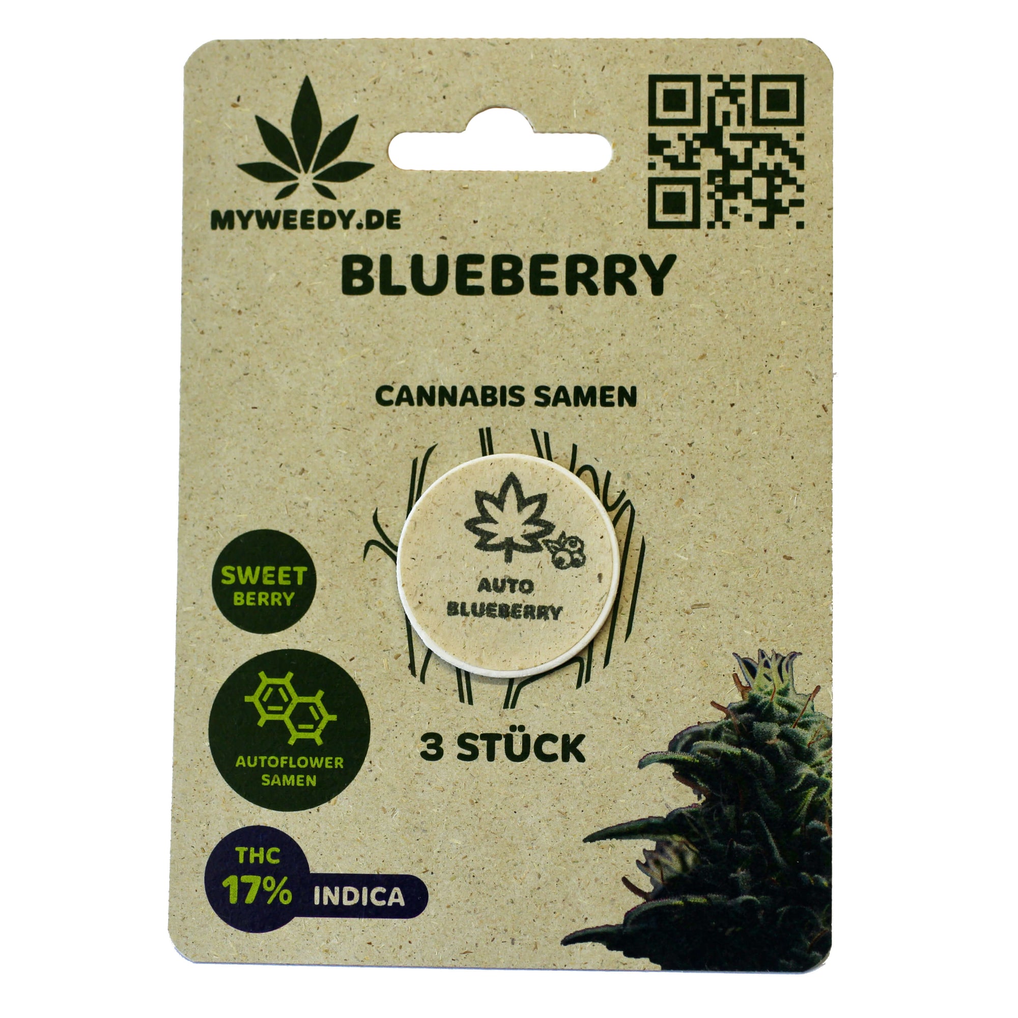 Blueberry - Autoflower