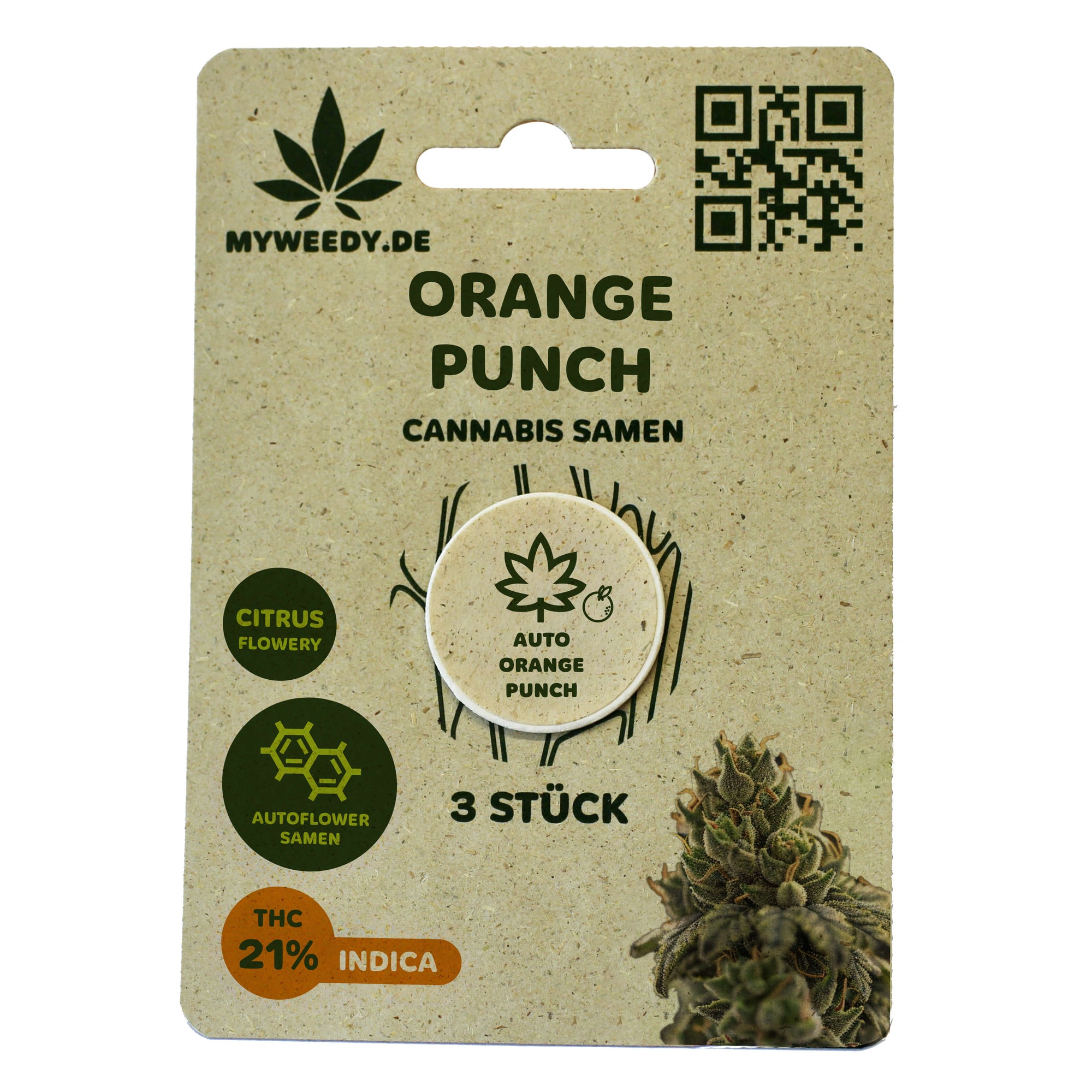 Orange Punch - Autoflower