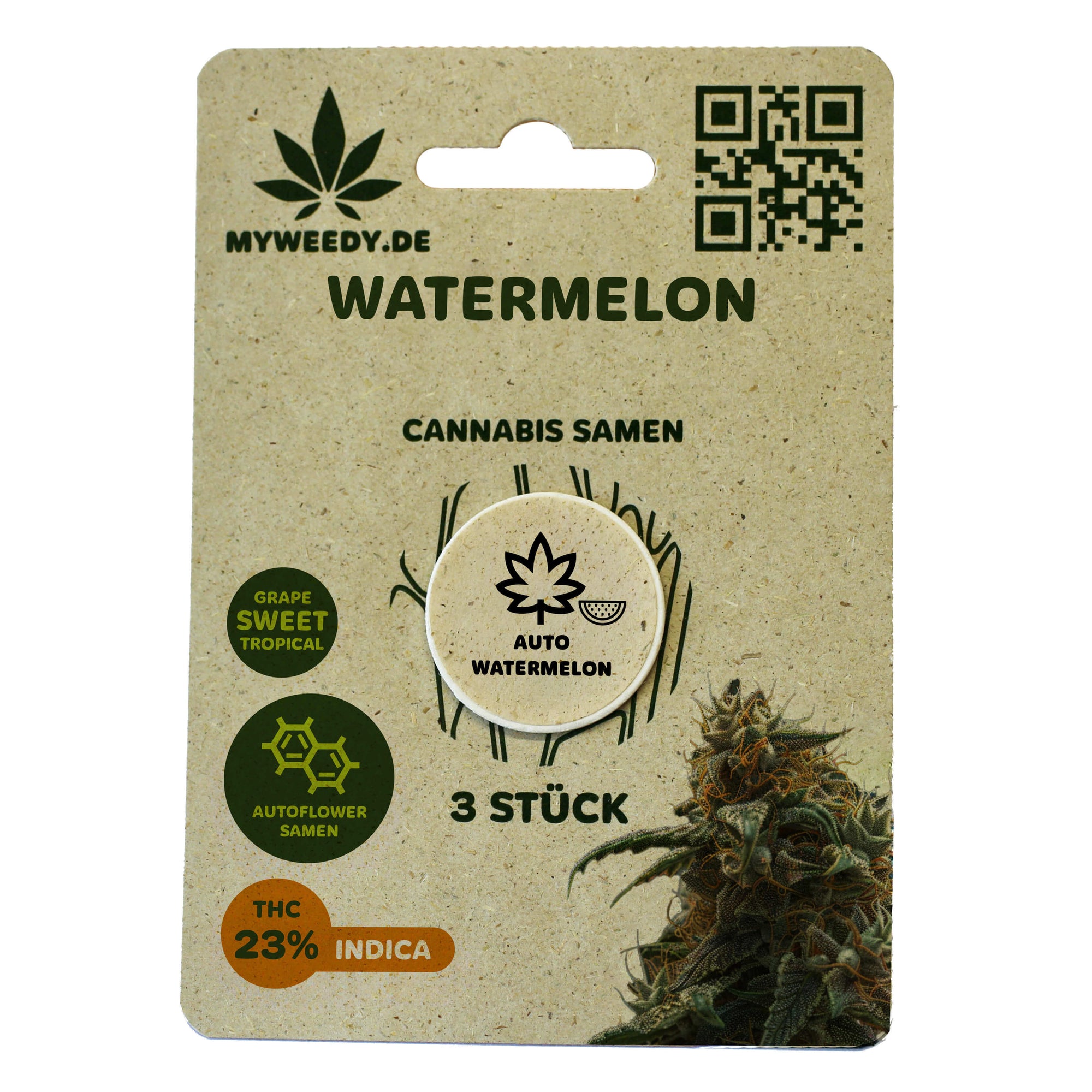 Watermelon - Autoflower