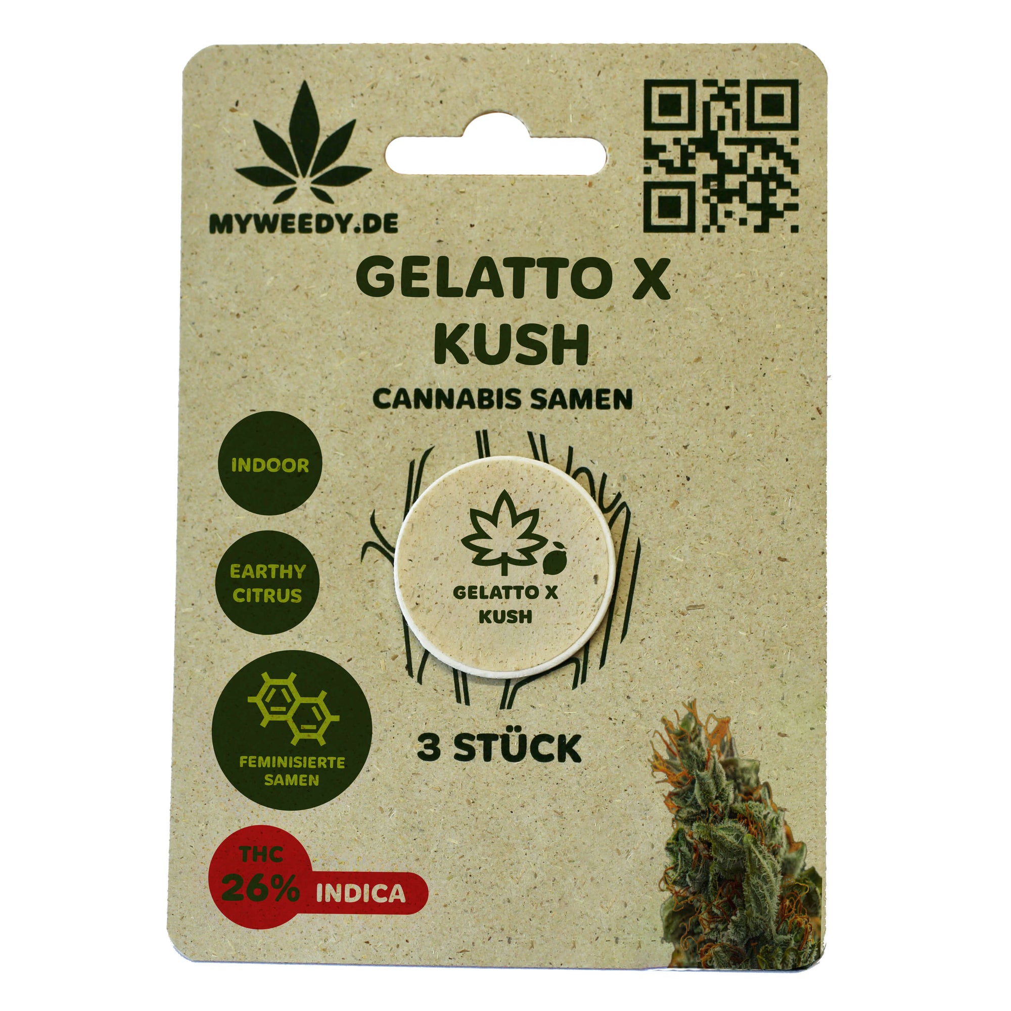 Gelatto x Kush - Feminisiert