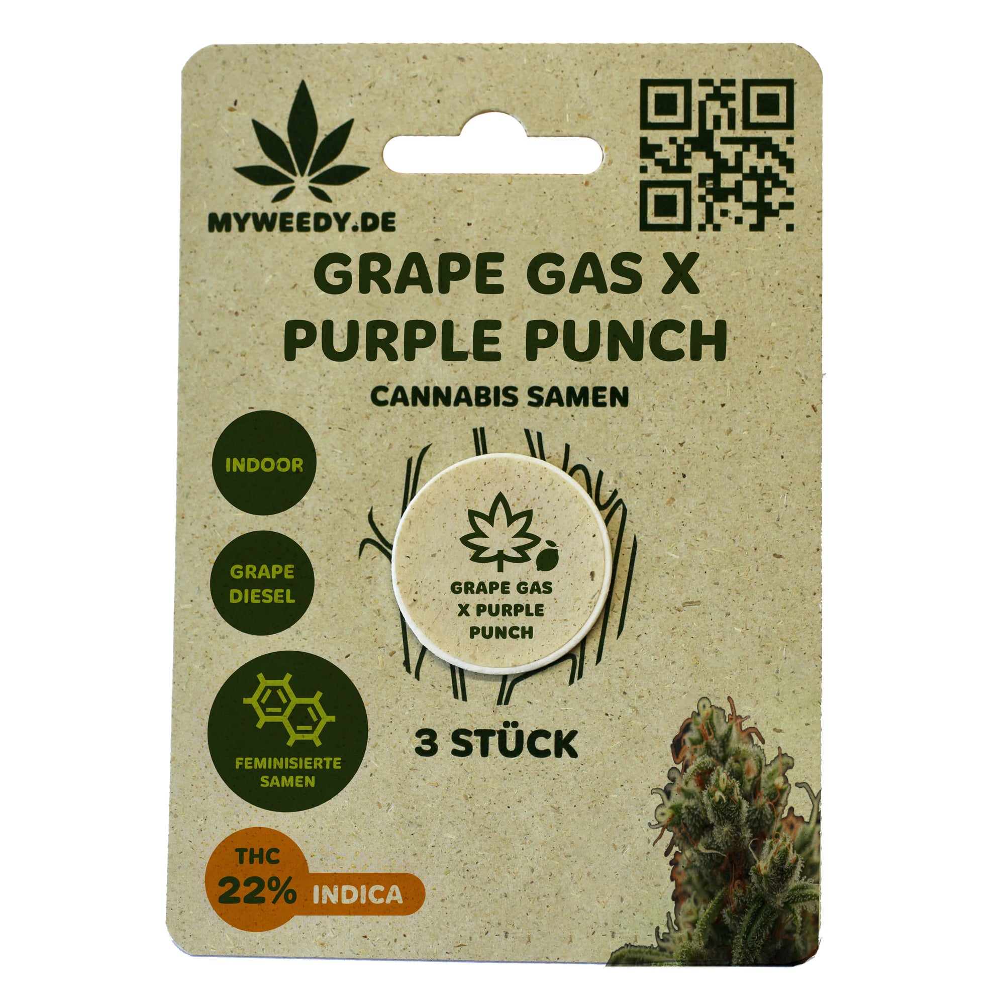Grape Gas x Purple Punch - Feminisiert