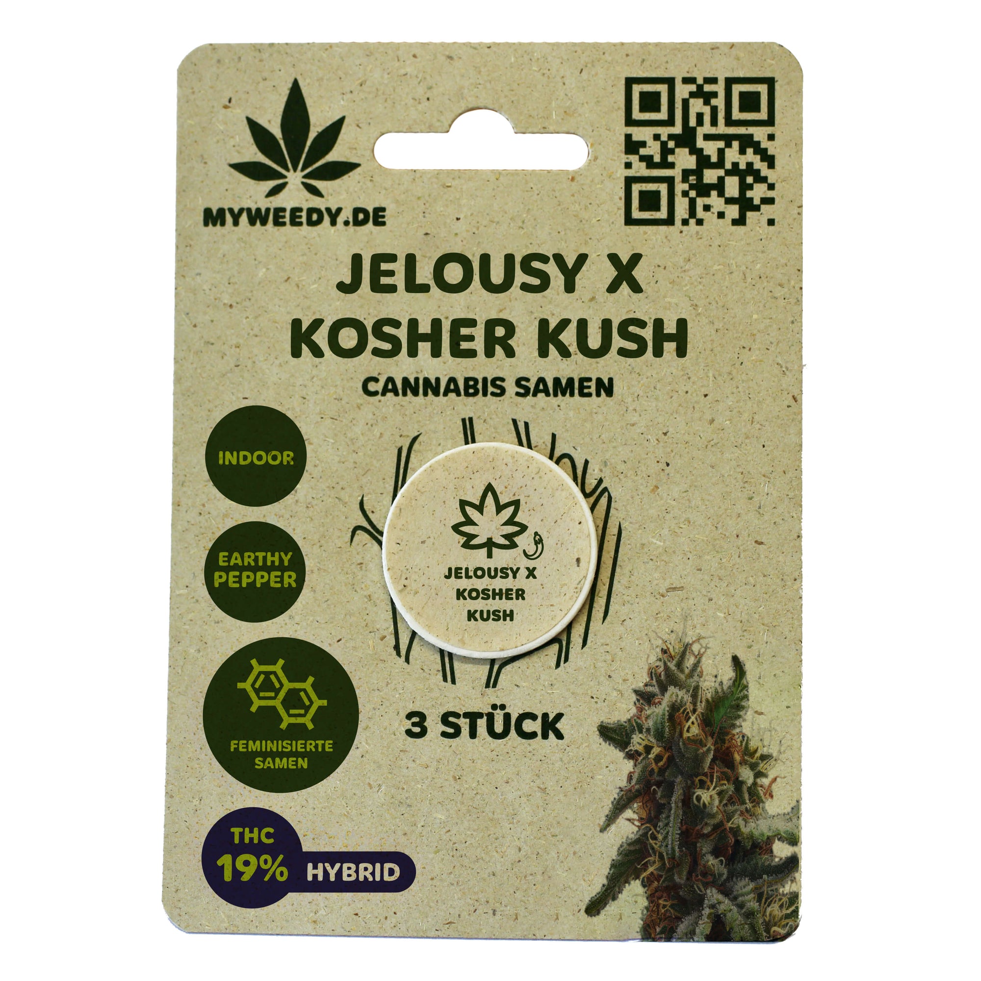 Jelousy x Kosher Kush - Feminisiert