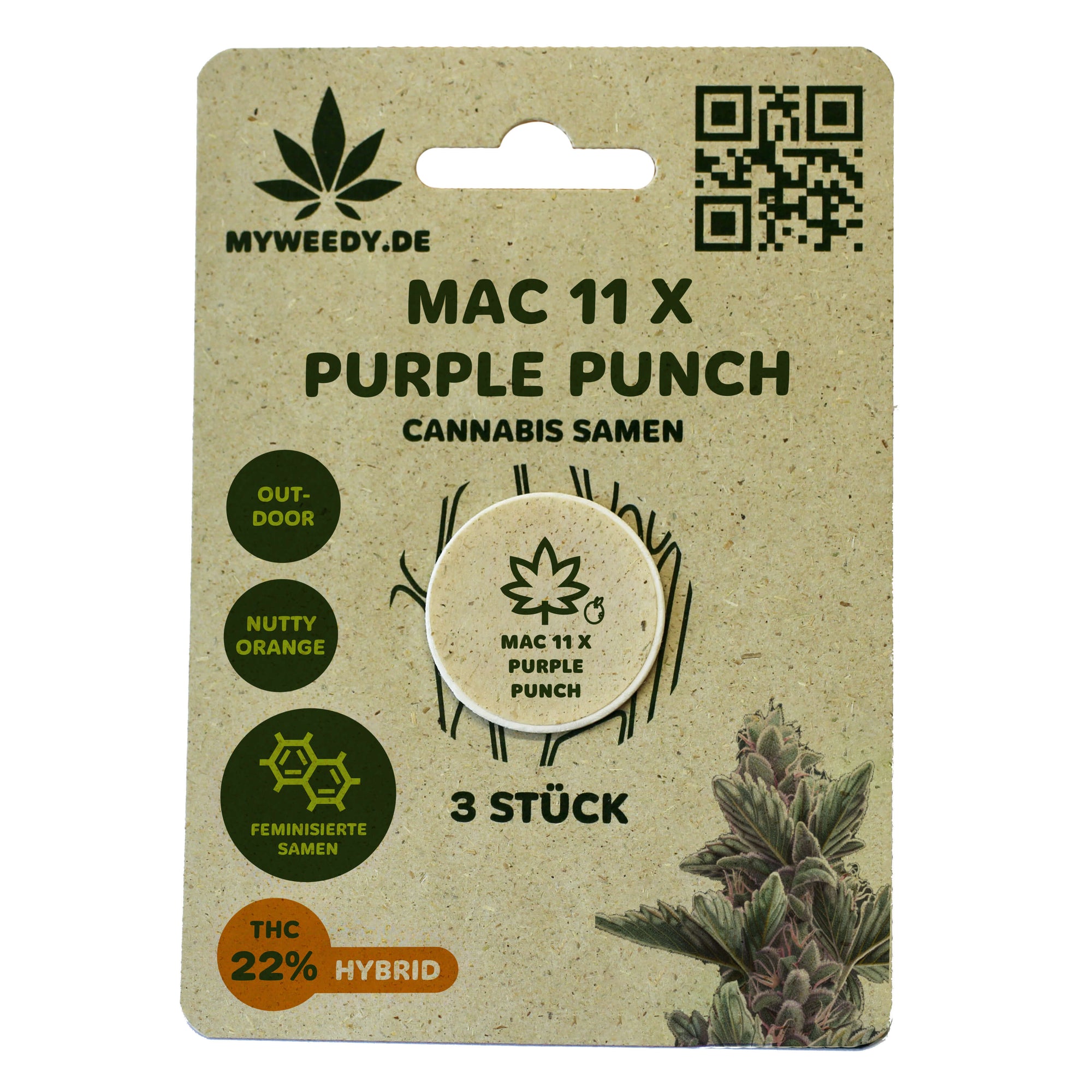 Mac 11 x Purple Punch - Feminisiert