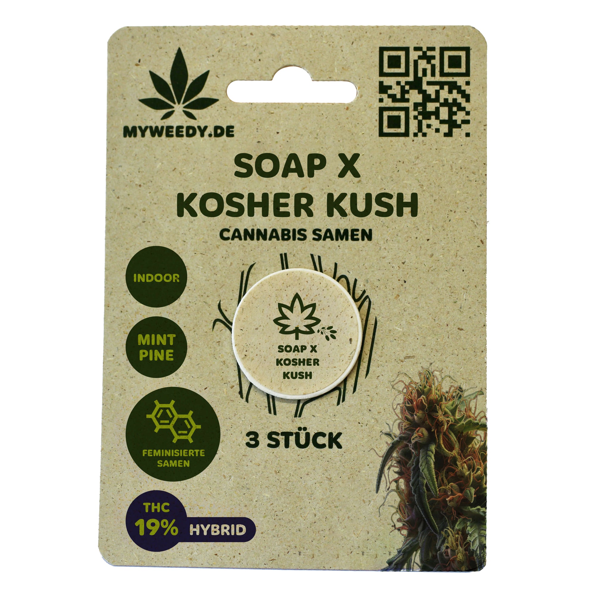 Soap x Kosher Kush - Feminisiert