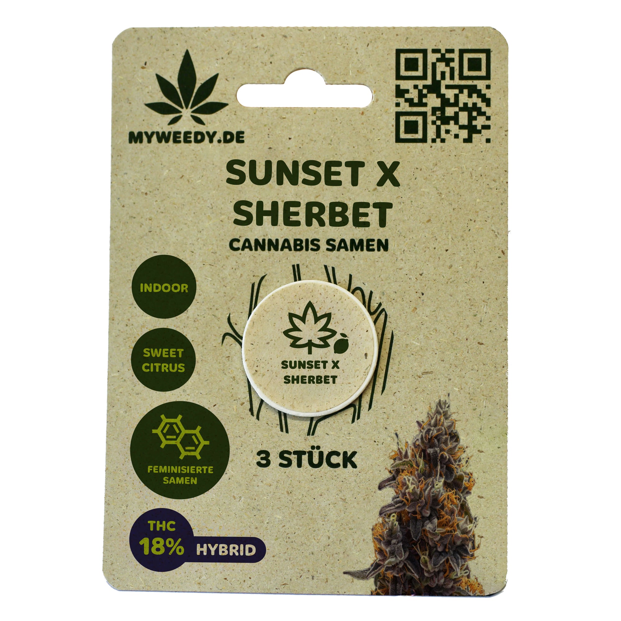 Sunset x Sherbet - Feminisiert